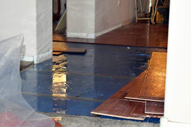 Professional Burst Pipe Cleanup technician working in Southampton, MA